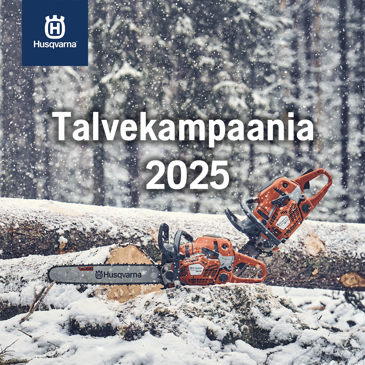 Talvekampaania 2025 (tiny).png (881 KB)